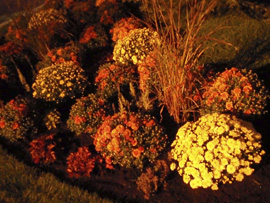 Automne 2015 auto15 004